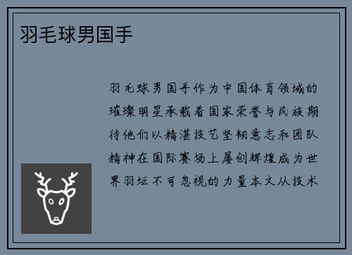 羽毛球男国手